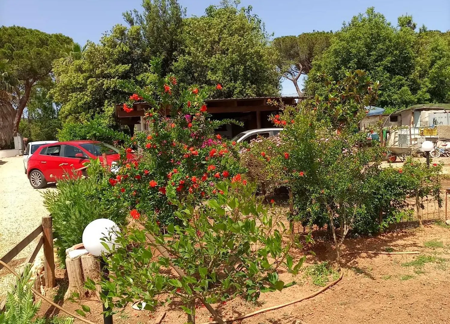 Casa Vacanze La Palma Alghero Italy