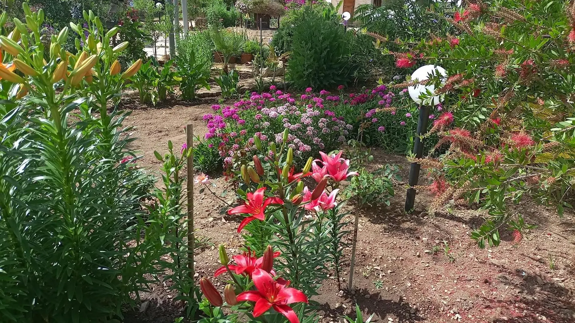 Holiday home Casa Vacanze La Palma Alghero Italy